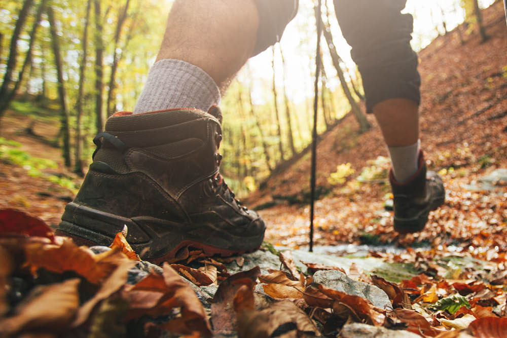 Fit durch den Herbst - Wandern | A Man's World | Healthy Life 40+